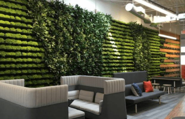 Boost Your Workspace with Biophilic Design