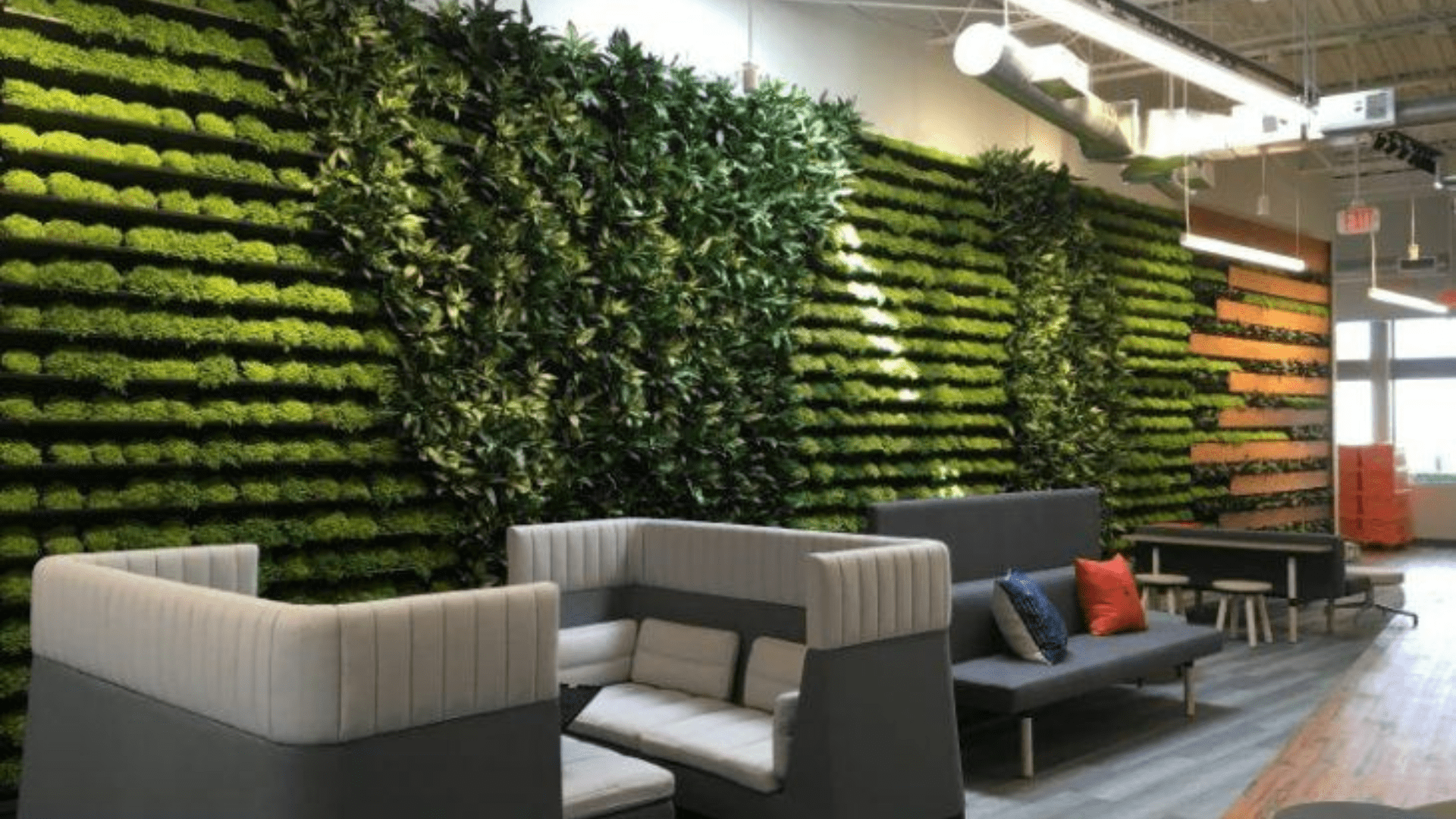 Boost Your Workspace with Biophilic Design