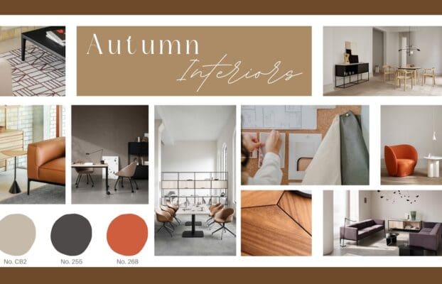 Seasonal Interior Design Tips