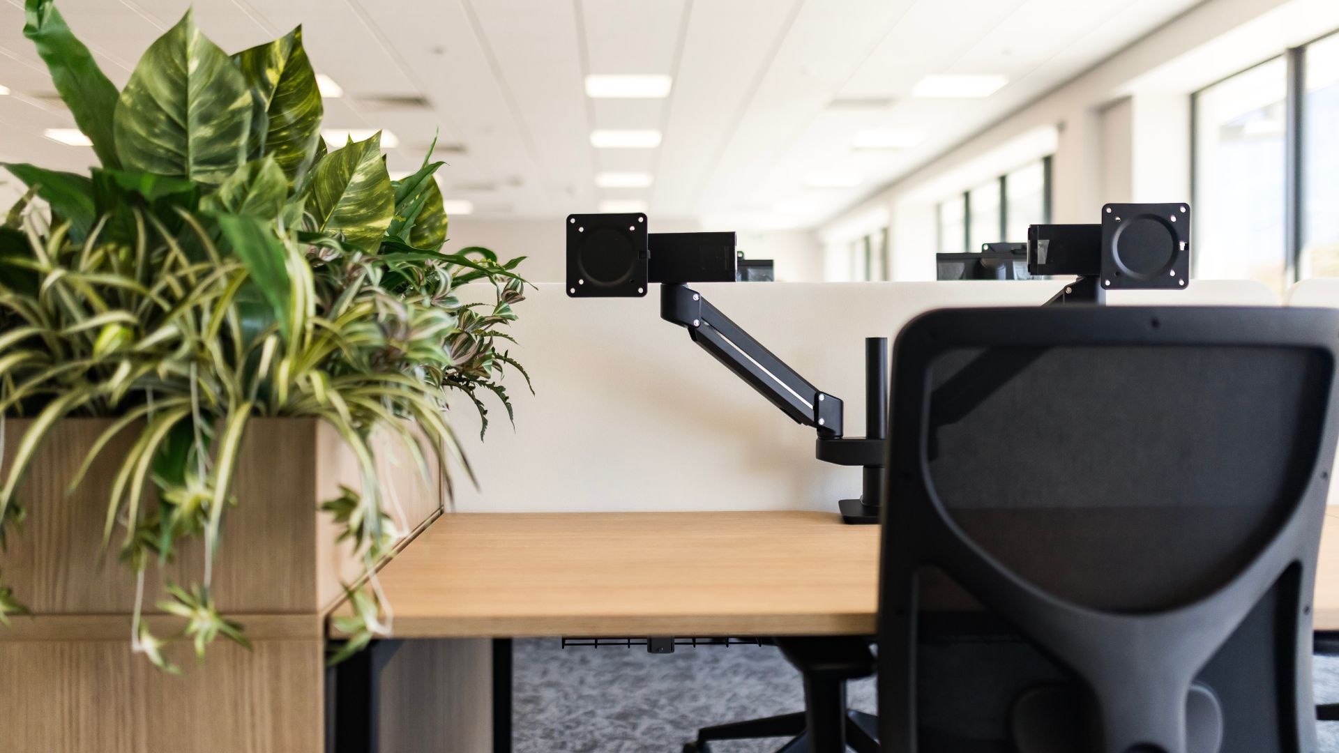 Height adjustable office desk installed by LWS in Northern Ireland.